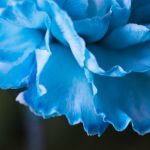 天天狠天天天天透在线 4uy8wj4