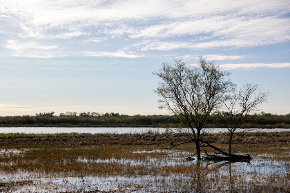 探索未知:揭秘秘密入口导航站点的神秘世界 探索未知:揭秘秘密入口导航站点的神秘世界